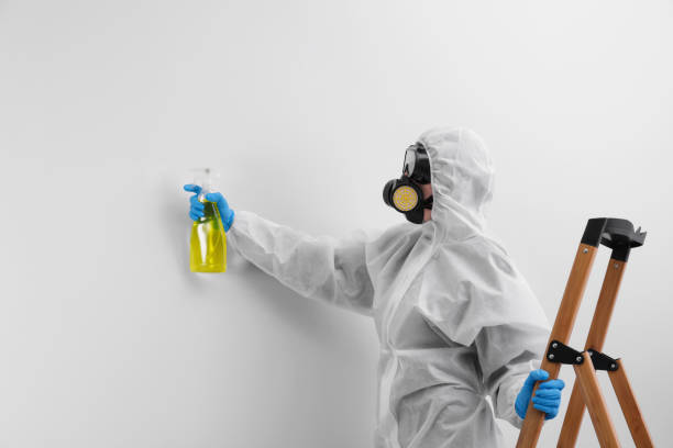 Why You Should Choose Our Mold Remediation Services in Pendleton, IN